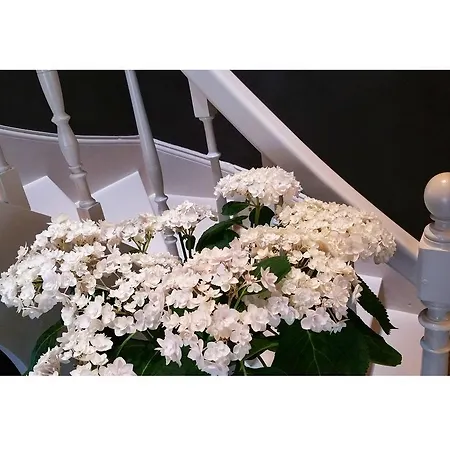 La Sauternaise, Luxury Boutique לינה וארוחת בוקר 4*