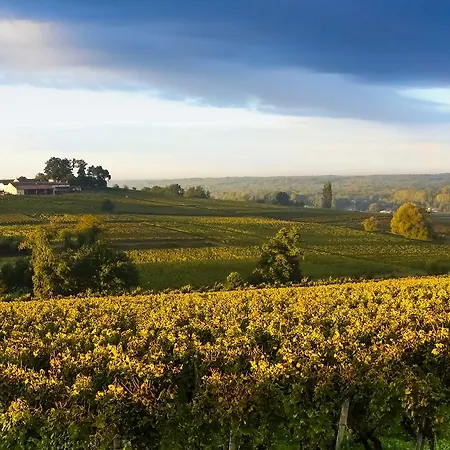 Bed & Breakfast La Sauternaise, Luxury Boutique Sauternes